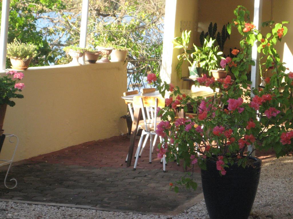 Le Cactus Guest House Mauritius Exterior photo